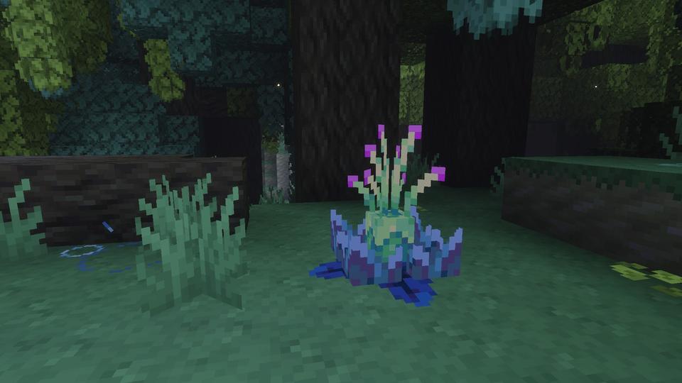 Aechor Plant in Lush Forest