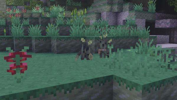 Leshy in the Lush Forest