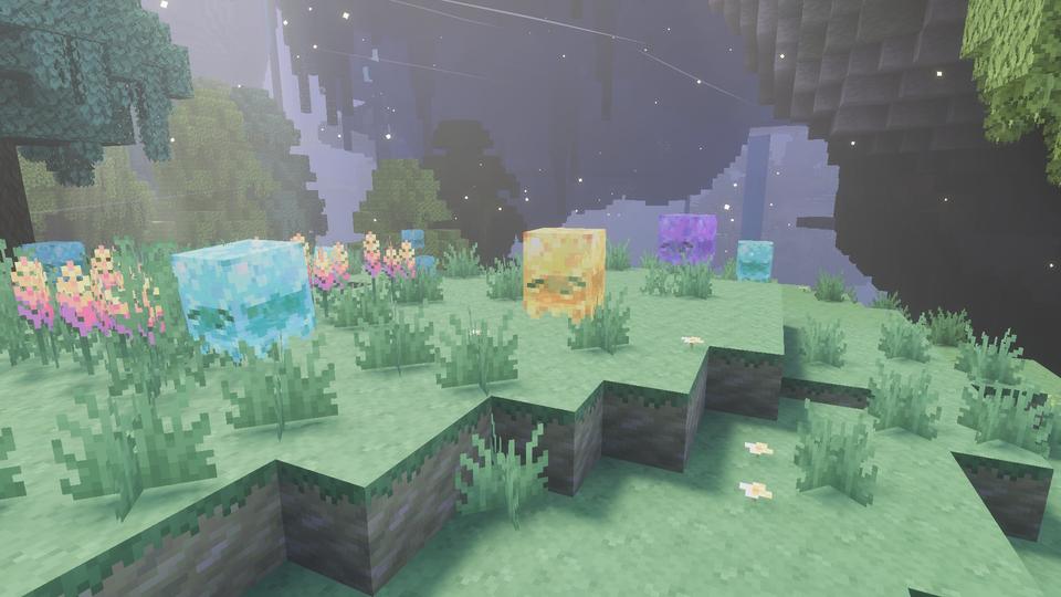 Swets in the Lush Forest