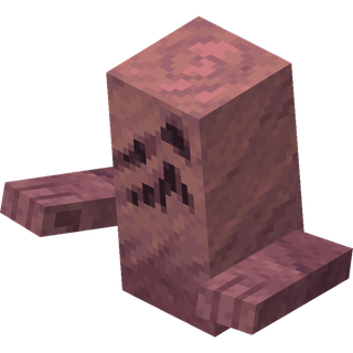 Placeholder