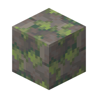 Image of Mossy Lobide Bricks