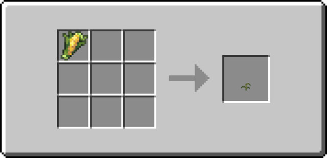 Recipe of Corn Crop